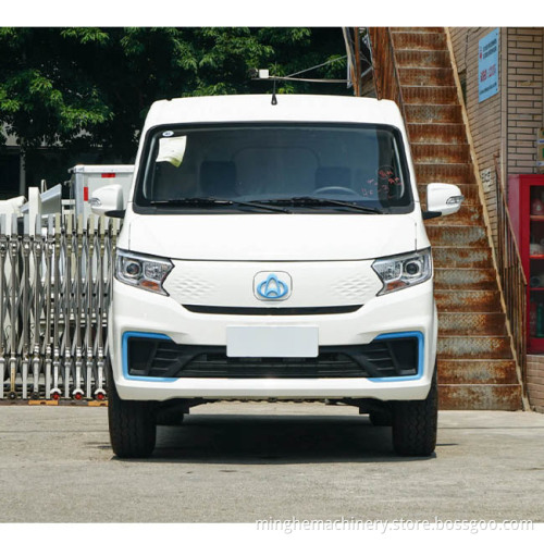 EV ELECTRAL ELECTRY HOT SALE NEDC 305km Transport Van Sea Lion جديد